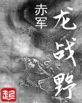 龙战野特种兵