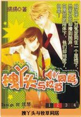 拽丫头与校草同居全文