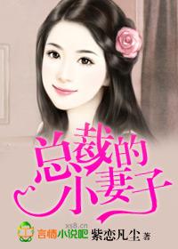 总裁的妻子姚月