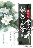 清穿后我成了四爷的老婆(年氏)