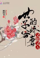 世子爷的娇妻又宠又a