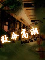 致命高潮美国伦理电影