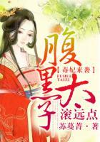 毒妃当道腹黑王爷请绕道