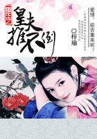 重生之皇夫凶猛