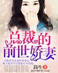 总裁的前妻电视剧