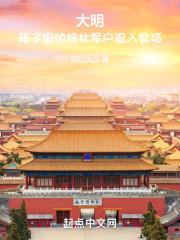 大明箱子里的榆林军户混入官场