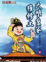 大明皇家维修工讲什么