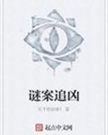 谜案追凶txt