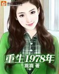 重生1978年林南宋雨薇