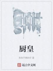 厨皇炖锅怎么样