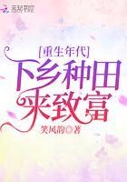 重生年代下乡种田来致富