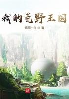我的荒野王国TXT