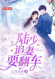 陆少追妻花样多