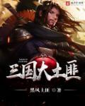 三国大土匪之二
