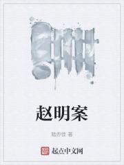 赵明案例裁判指引33的适用与影响