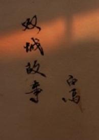 双城故事粤语版电影