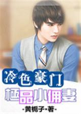 二嫁总裁前妻