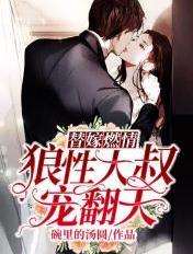 替嫁新娘狼性大叔夜夜宠