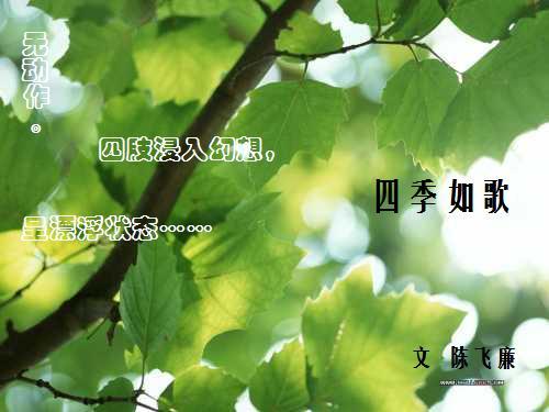 四季如歌实践活动开场白100字
