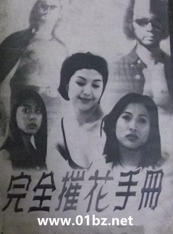 完全摧花手册外传1