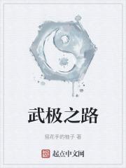 武极txt