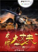 龙婿大丈夫笔趣阁