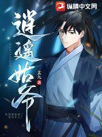 逍遥姑爷全部妻子是谁