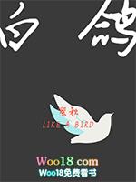 白鸽是谁的歌