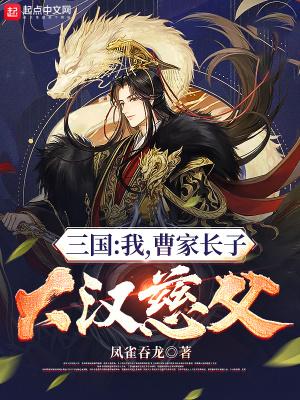 三国我曹家长子大汉慈父无错