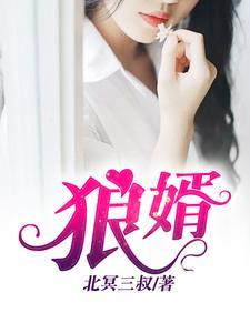 狼婿下山叶铠鸣1至100集免费观看