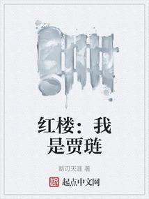 红楼我是贾琏笔趣