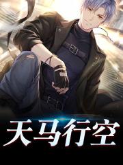 天马行空的生涯