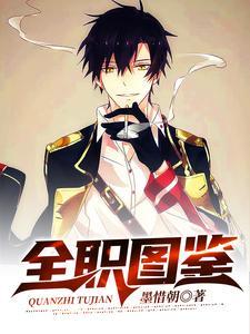 全职图鉴解锁中
