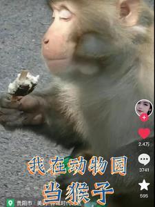 猴子变人的故事是什么意思