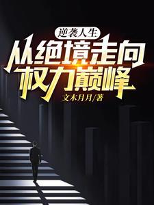 骑狼的汉子权力巅峰之绝境逆袭