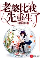 老婆比我先重生了安毅