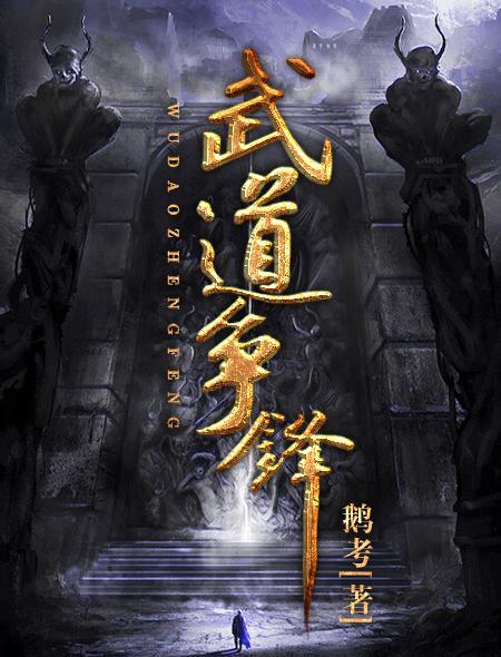 武道巅峰什么意思