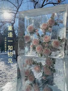 一见如初再见如故什么意思