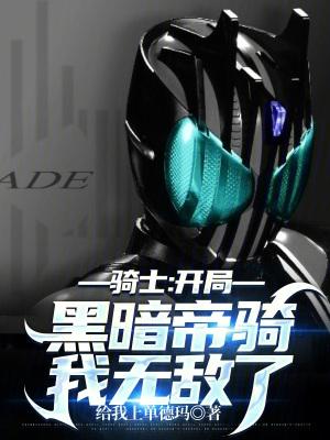 关于黑暗骑士的