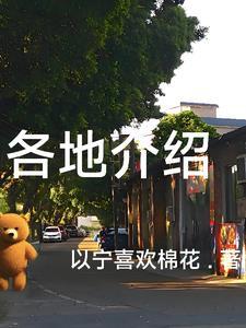 各个城市介绍