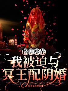 冥王夫