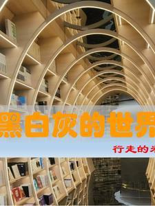 黑白灰世界啥意思