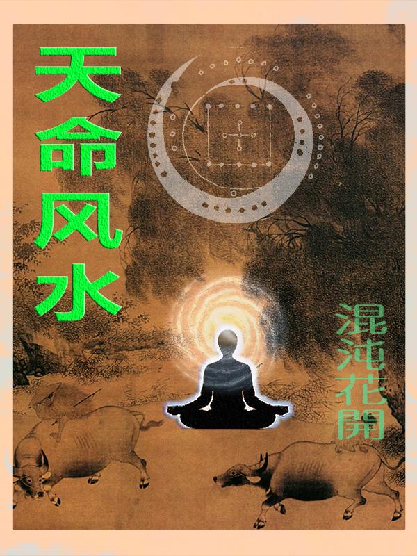 天命风水师免费播放