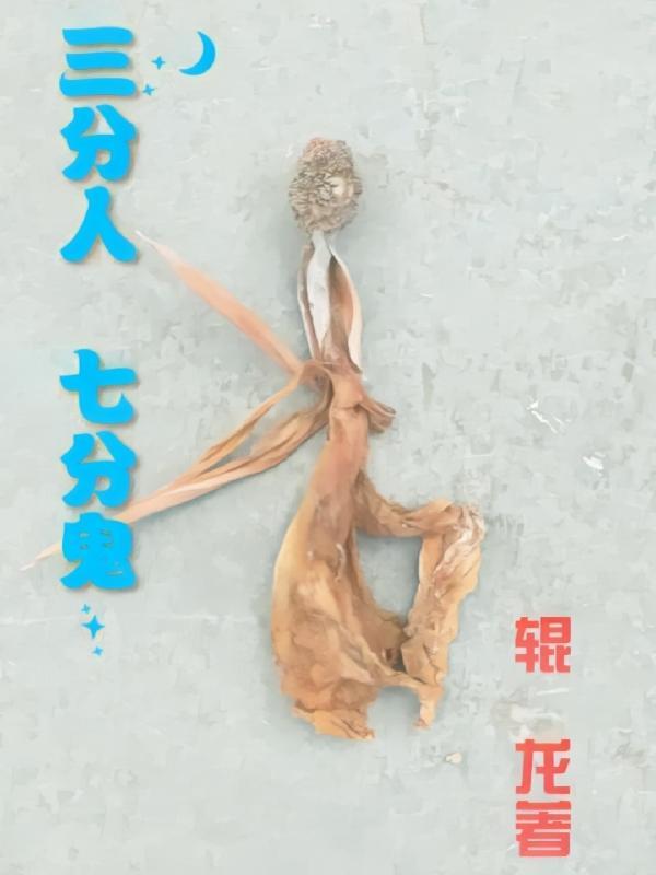 三分人七分鬼打一准确动物