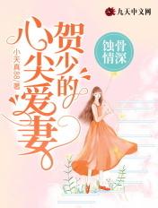 蚀骨情深贺少心尖爱妻免费阅读