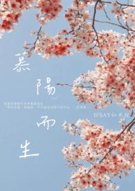 慕阳什么意思