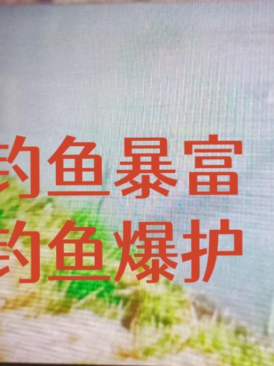 钓鱼爆护句子