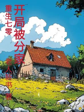 重生70年代分家