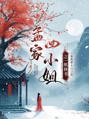 孟家四小姐全文免费阅读主要讲的是什么