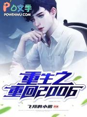 重生之重回2004写书